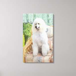 Impressão Em Tela Poodle Branco