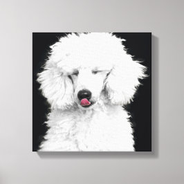 Impressão Em Tela Poodle Branco bobo