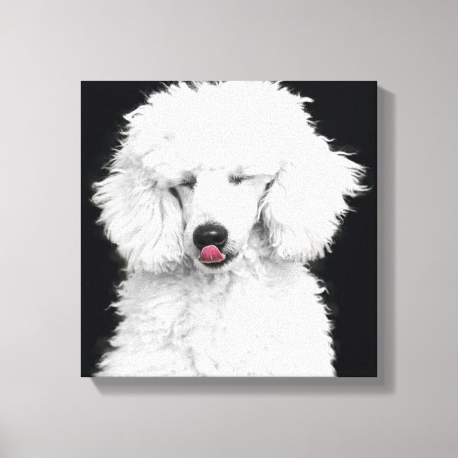 Impressão Em Tela Poodle Branco bobo (Frente)