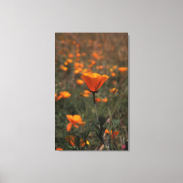 Impressão Em Tela Poppen