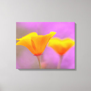 Impressão Em Tela Poppies