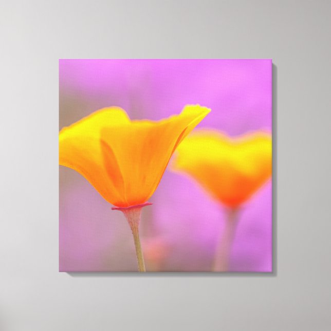 Impressão Em Tela Poppies (Frente)