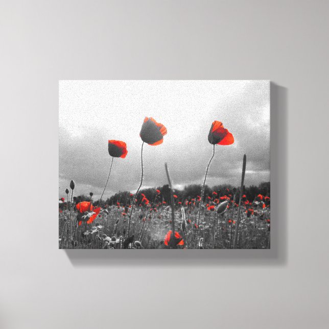 Impressão Em Tela Poppies em preto, branco e vermelho (Frente)