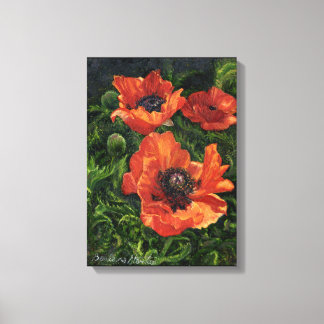 Impressão Em Tela "Poppies Islandeses"