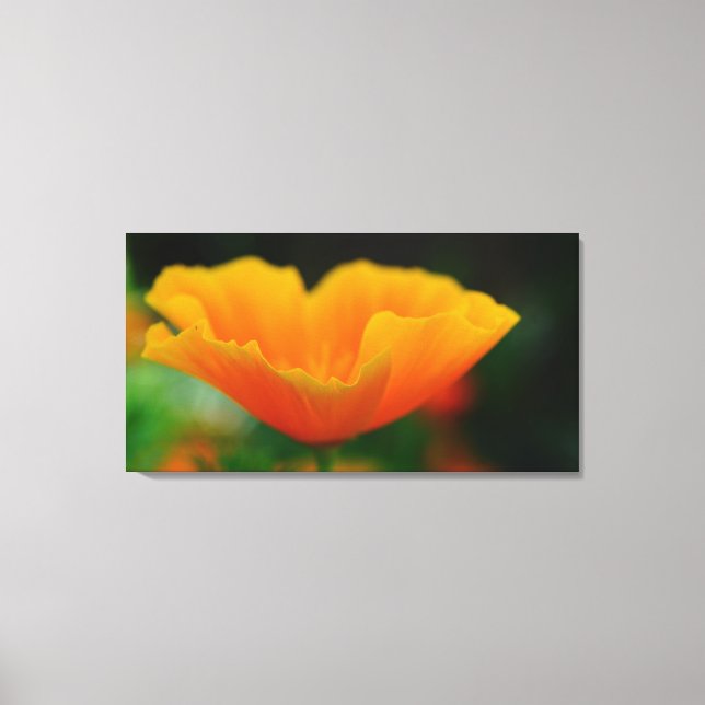 Impressão Em Tela Poppy! (Frente)