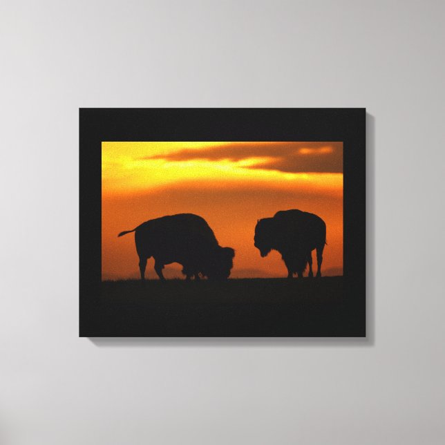Impressão Em Tela pôr do sol bison (Frente)