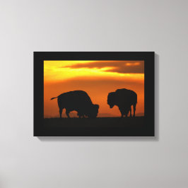 Impressão Em Tela pôr do sol bison