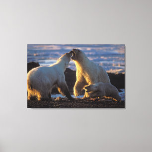 Impressão Em Tela Porcas com o filhote no lado, 1002 do urso polar