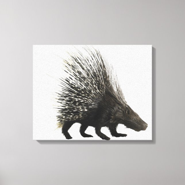 Impressão Em Tela Porcupine (Frente)