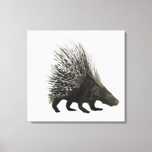 Impressão Em Tela Porcupine (Frente)