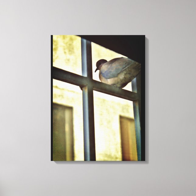 Impressão Em Tela Porta Curiosa (Frente)