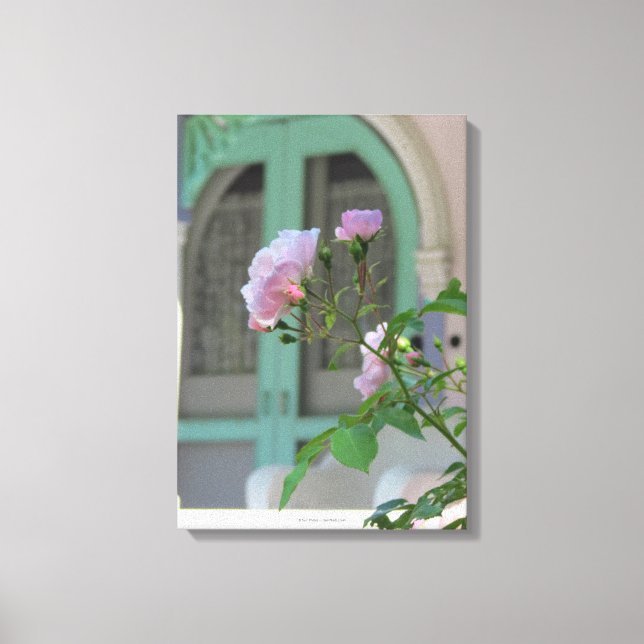 Impressão Em Tela Porta Verde e Rosa - Vinha de Martha (Frente)