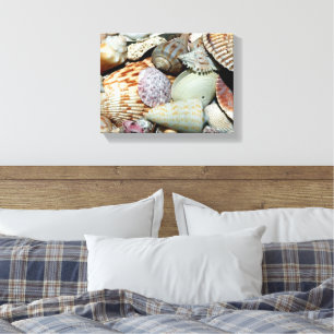 Impressão Em Tela poster de conchas