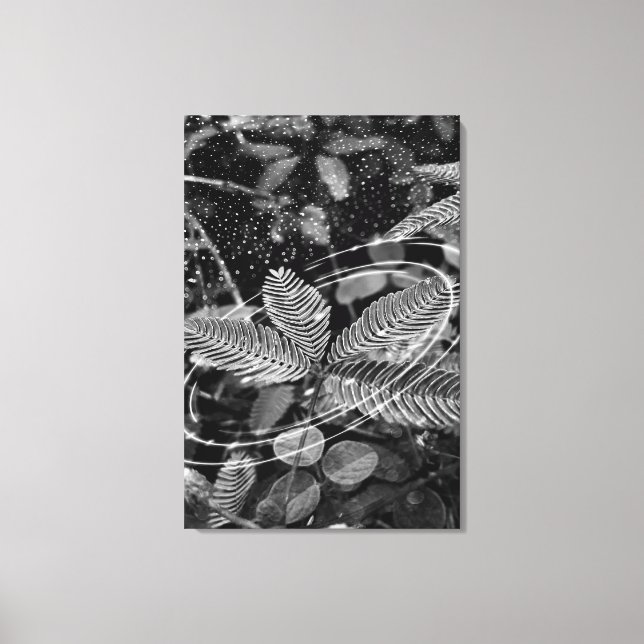 Impressão Em Tela Poster Folhas - P&B (Frente)