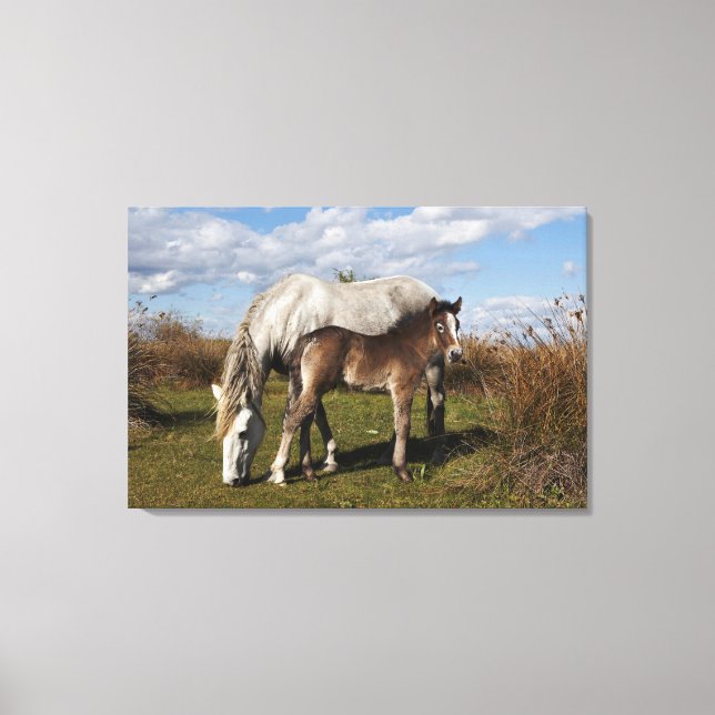 Impressão Em Tela Potro de Cavalo Camargue com Mãe (Frente)