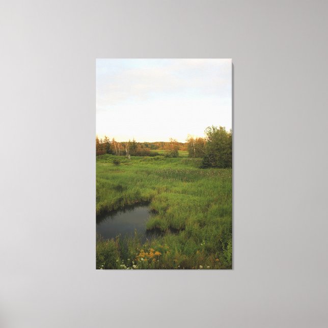 Impressão Em Tela Prado ensolarado (Frente)