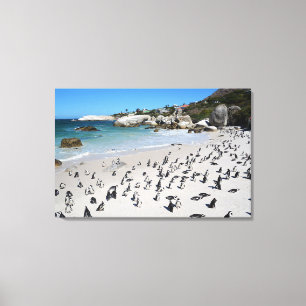 Impressão Em Tela Praia   África do Sul dos pedregulhos dos pinguin