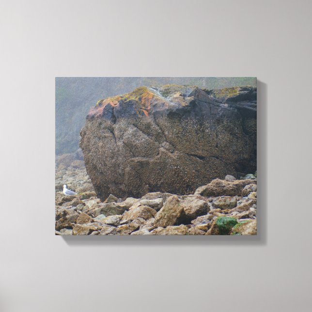 Impressão Em Tela Praia costeira, rochosa, pedra, orla marítima, úni (Frente)
