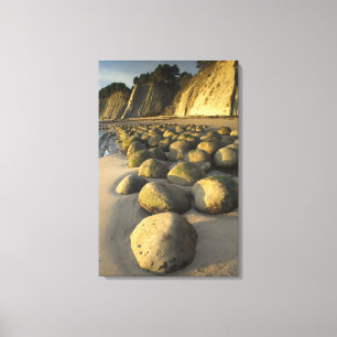 Impressão Em Tela Praia da bola de boliche na costa do Mendocino de