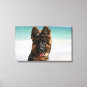 Impressão Em Tela Praia de cabelos compridos do german shepherd