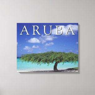 Impressão Em Tela Praia do Águia Caribe, Aruba