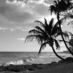 Get Wallpaper Arte E Decoracao De Parede Praia Preto E Branco Zazzle Com Br Free HD