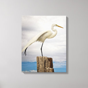 Impressão Em Tela Praia talentoso do Egret Fort Myers, Florida