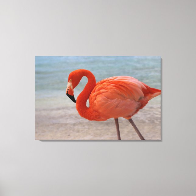 Impressão Em Tela Praias Tropicais | Caribe Flamingo, Aruba (Frente)