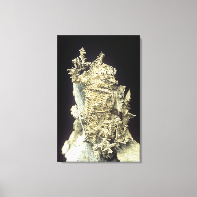 Impressão Em Tela Prata Nativa (Ag) sobre calcário, Canadá (Frente)