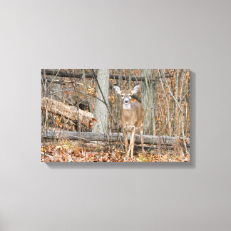 Impressão Em Tela Precioso