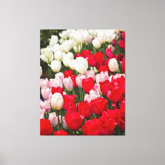 Impressão Em Tela Preciosos (Frente)