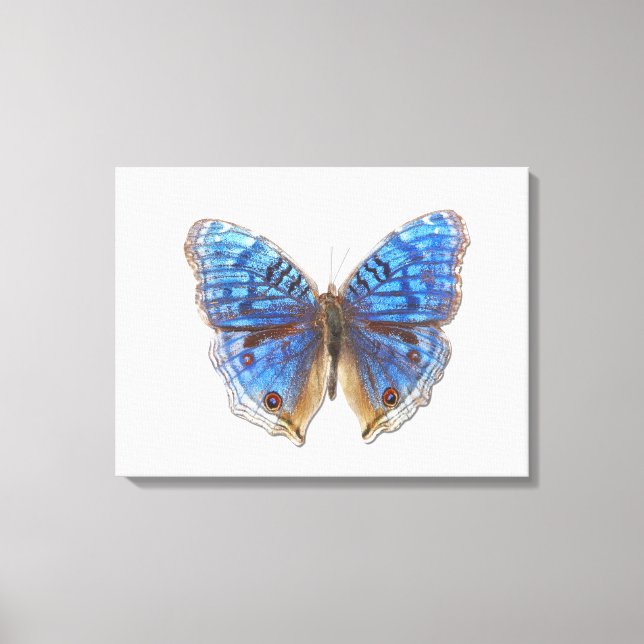 Impressão Em Tela Precis rhadama (Frente)