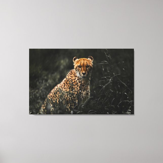 Impressão Em Tela Predator Ou Presy Staredown Wall Art (Frente)