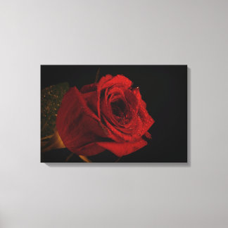 Impressão Em Tela Presente de rosa vermelha de amor