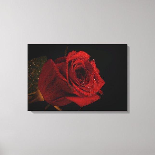 Impressão Em Tela Presente de rosa vermelha de amor (Frente)