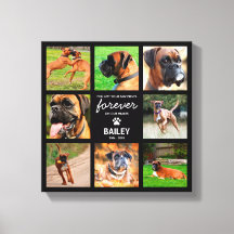 Presente do Pet Memorial | No Loving Memory 8 Phot