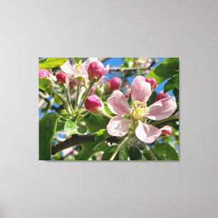 Impressão Em Tela Primavera Apple Blossoms
