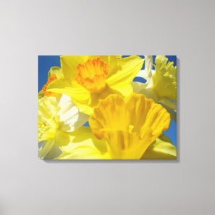 Impressão Em Tela Primavera Daffodils Flores Telas de desenho Nature
