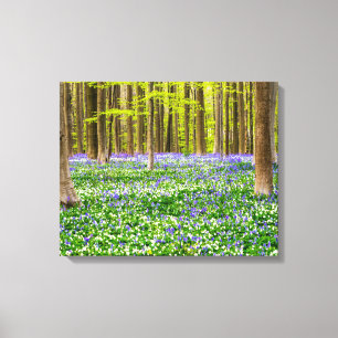 Impressão Em Tela Primavera na Floresta Azul