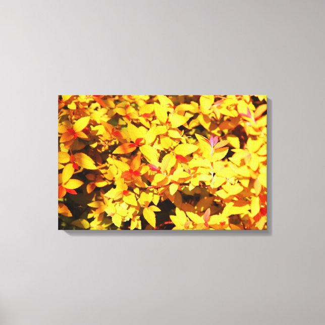 Impressão Em Tela Primavera no Arboretum 6 (Frente)