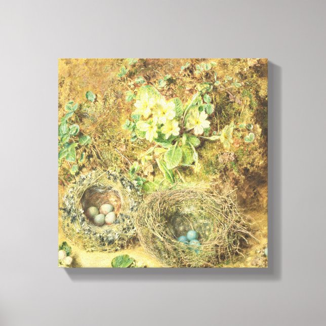 Impressão Em Tela Primroses e Ninhos de Aves (Frente)