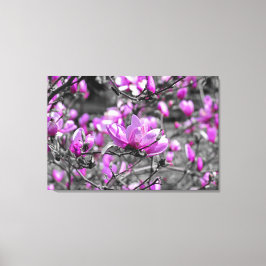 Impressão Em Tela Profusa Magnolia Blooms Triptych