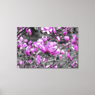 Impressão Em Tela Profusa Magnolia Blooms Triptych