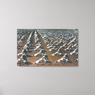 Impressão Em Tela Programa de formação físico para recrutas -