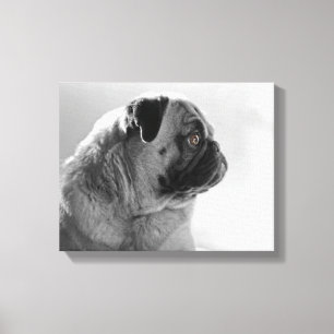 Impressão Em Tela Pug no perfil