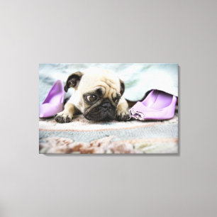 Impressão Em Tela Pug que olha inocente após ter mastigado o dedo d