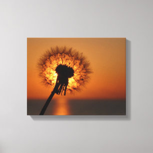 Impressão Em Tela Pusteblume, Dandelion/