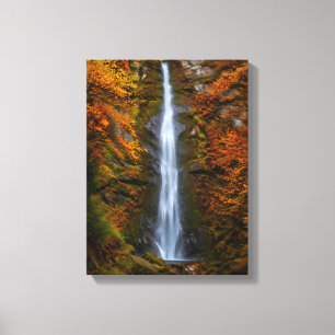 Impressão Em Tela Quadro de tela da Cachoeira Nº 1, Série Cachoeiras