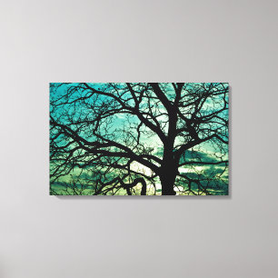 Impressão Em Tela Que Ciúmes Tem A Lua?