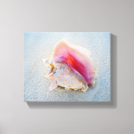 Impressão Em Tela Queen Conch Shell na praia de Bahamas